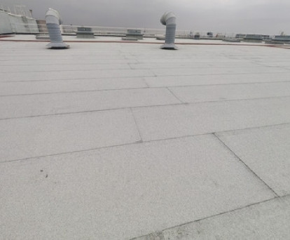 Aliquam erat volutpat. Nullam scelerisque auctor libero