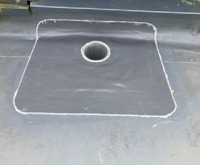 Aliquam erat volutpat. Nullam scelerisque auctor libero