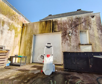 Traitement anti mousse sur façade